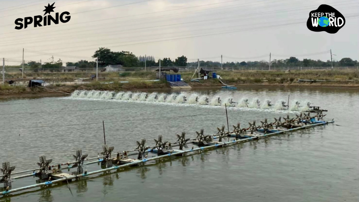 ไทยเร่งปรับ! ‘ควบคุมการระบายน้ำทิ้งบ่อเพาะเลี้ยงสัตว์น้ำ’ แก้ประกาศกระทรวงฯ