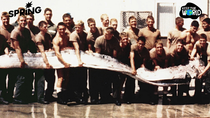 ปลาออร์ฟิชขึ้นฝั่ง สัญญาณแผ่นดินไหวจริงไหม? หรือเป็นความเชื่อที่ยังไม่มีหลักฐานยืนยัน