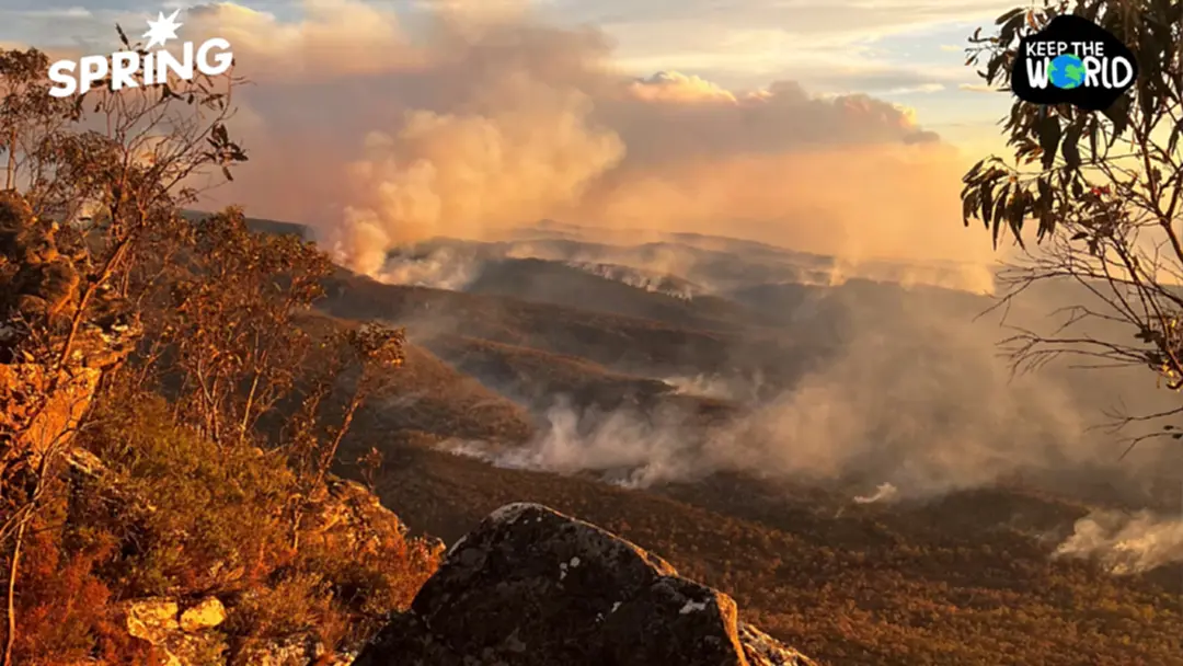 เกิดอะไรขึ้น? เมลเบิร์นร้อนแตะ 41 องศา ร้อนสุดในรอบ 6 ปี เกิดอะไรขึ้น? เมลเบิร์นร้อนแตะ 41 องศา ร้อนสุดในรอบ 6 ปี