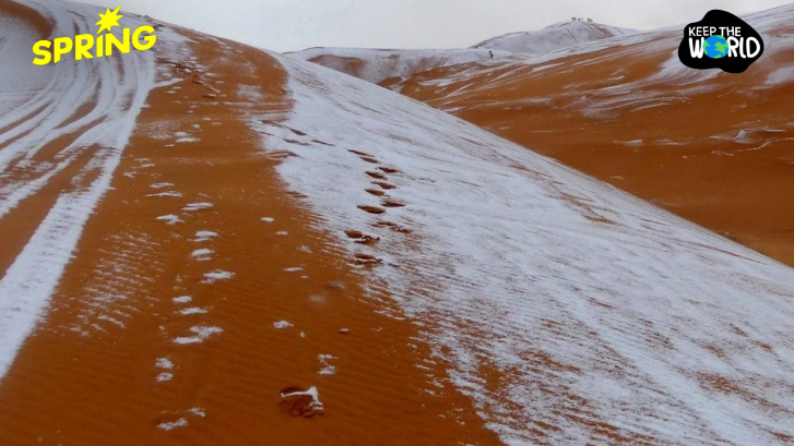 หิมะตกในทะเลทรายซาฮารา ปรากฎการณ์หายาก ที่เกิดบ่อยขึ้น