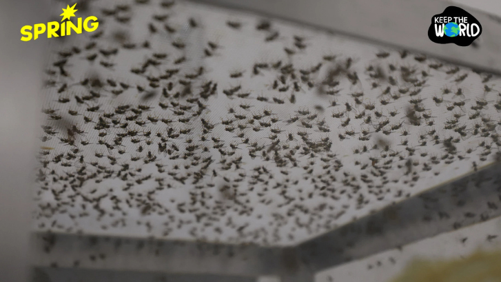 ป่าหาย ยุงเปลี่ยนเป้า! หันมาดูดเลือดคนมากขึ้นหลังพื้นที่ป่าลด เสี่ยงโรคระบาดพุ่ง