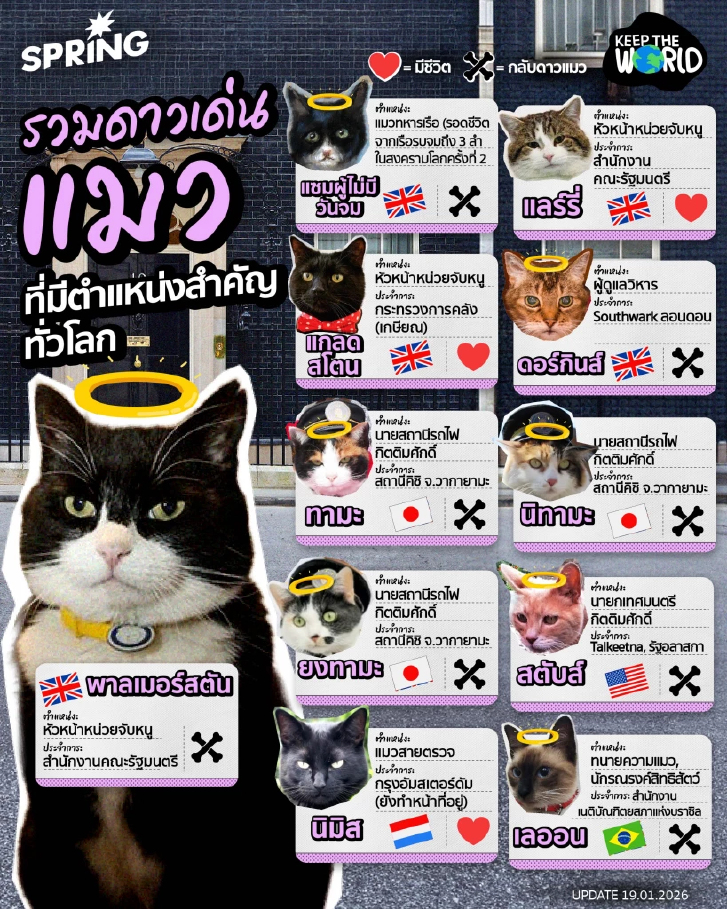 รวมดาวเด่น 'แมว' ที่มีตำแหน่งสำคัญทั่วโลก ข้าราชการตัวจ้อย
