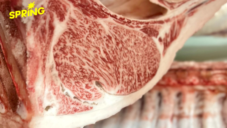 NIA ใช้นวัตกรรมเปลี่ยนโคเนื้อไทย 4 สายพันธุ์ท้องถิ่นสู่แบรนด์พรีเมียมระดับโลก