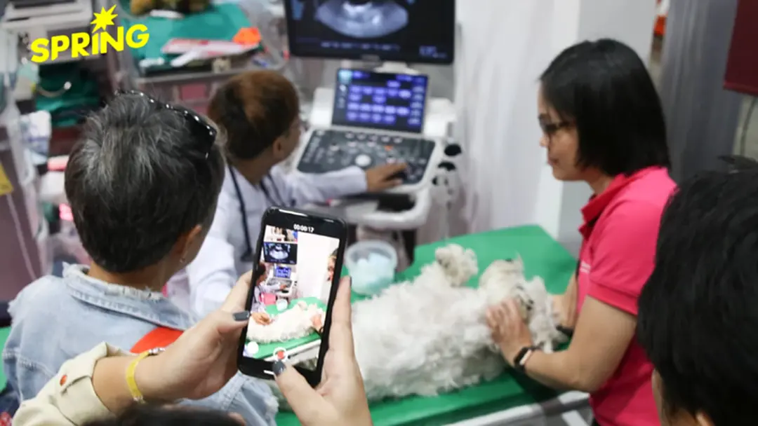 รพ.สัตว์เมืองเอก ผนึก มทร.ธัญบุรี ยกระดับวิชาชีพ ปั้น ‘พยาบาลสัตว์’ มือโปร