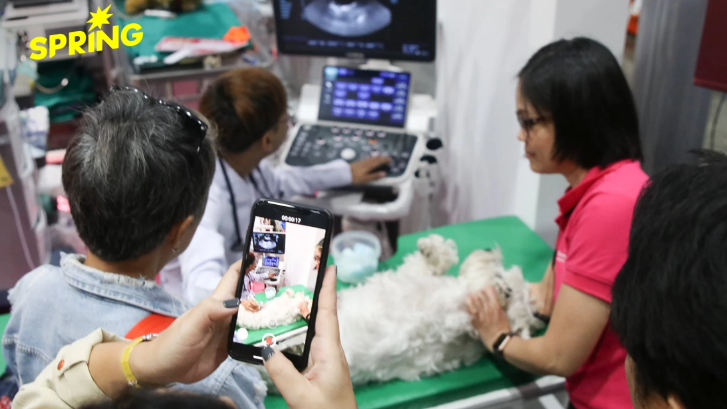 รพ.สัตว์เมืองเอก ผนึก มทร.ธัญบุรี ยกระดับวิชาชีพ ปั้น ‘พยาบาลสัตว์’ มือโปร