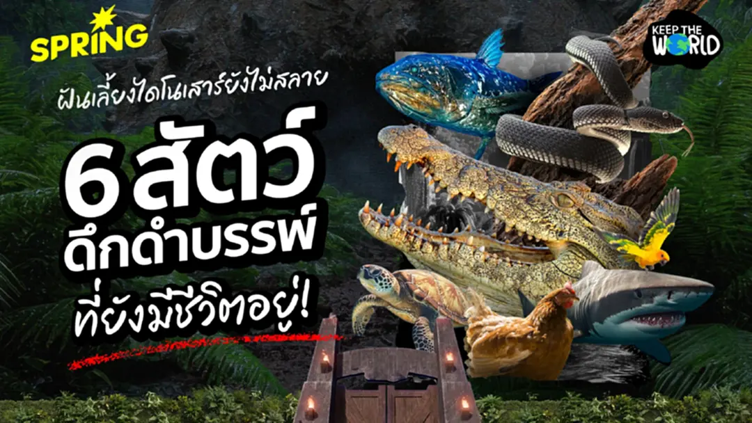 ฝันเลี้ยงไดโนเสาร์ยังไม่สลาย! รวม 6 สัตว์ยุคดึกดำบรรพ์ที่ยังมีชีวิตอยู่