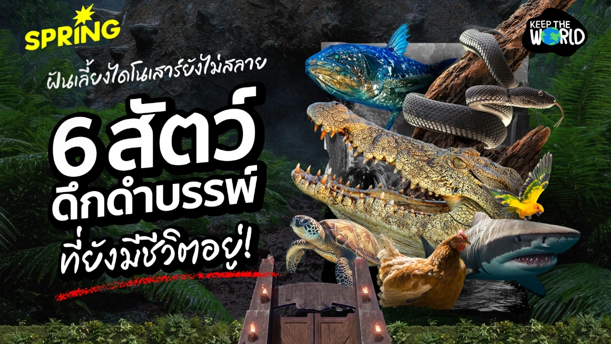 ฝันเลี้ยงไดโนเสาร์ยังไม่สลาย! รวม 6 สัตว์ยุคดึกดำบรรพ์ที่ยังมีชีวิตอยู่