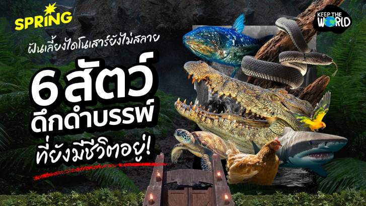 ฝันเลี้ยงไดโนเสาร์ยังไม่สลาย! รวม 6 สัตว์ยุคดึกดำบรรพ์ที่ยังมีชีวิตอยู่
