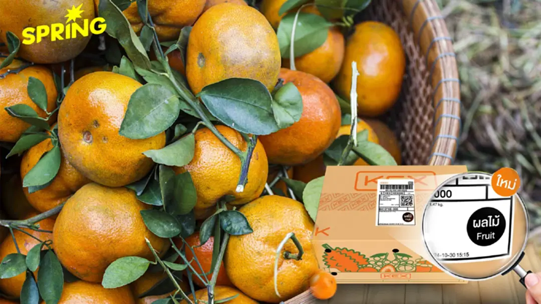 เจาะอินไซต์ ‘ส้มมงคล’ KEX ปรับทัพการส่งผลไม้สด รับเทศกาลตรุษจีน 2026