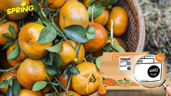 เจาะอินไซต์ ‘ส้มมงคล’ KEX ปรับทัพการส่งผลไม้สด รับเทศกาลตรุษจีน 2026