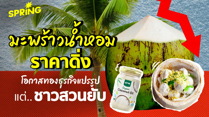 ปลุกกระแส Gen Z  ดื่มน้ำมะพร้าว healthy drink วันที่มะพร้าวน้ำหอมราคาดิ่ง
