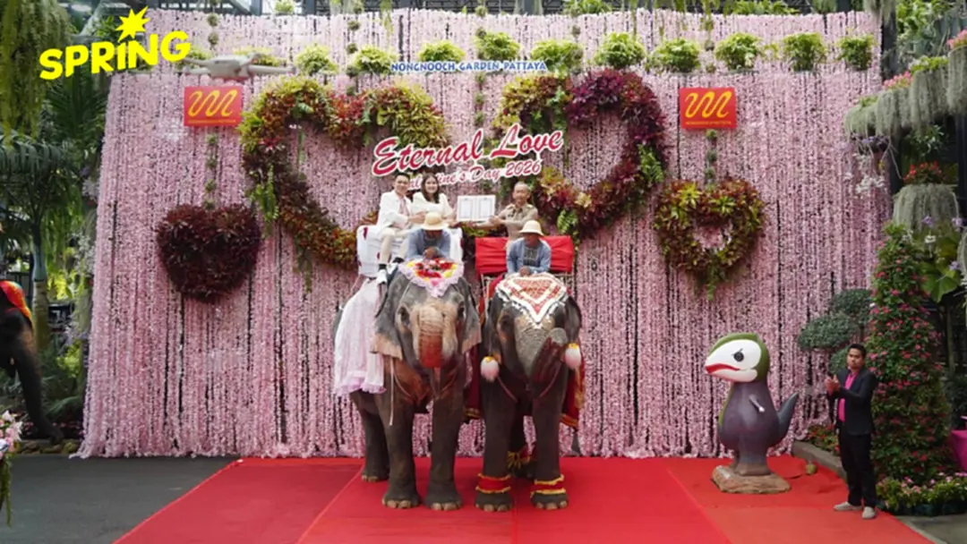 วาเลนไทน์ 2569 ‘จดทะเบียนสมรสบนหลังช้าง’ ที่สวนนงนุช ชูไทยสู่สายตานานาชาติ