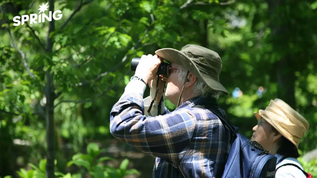 านวิจัยชี้ ดูนกอาจช่วย “ฝึกสมอง” และชะลอความเสื่อมตามวัย