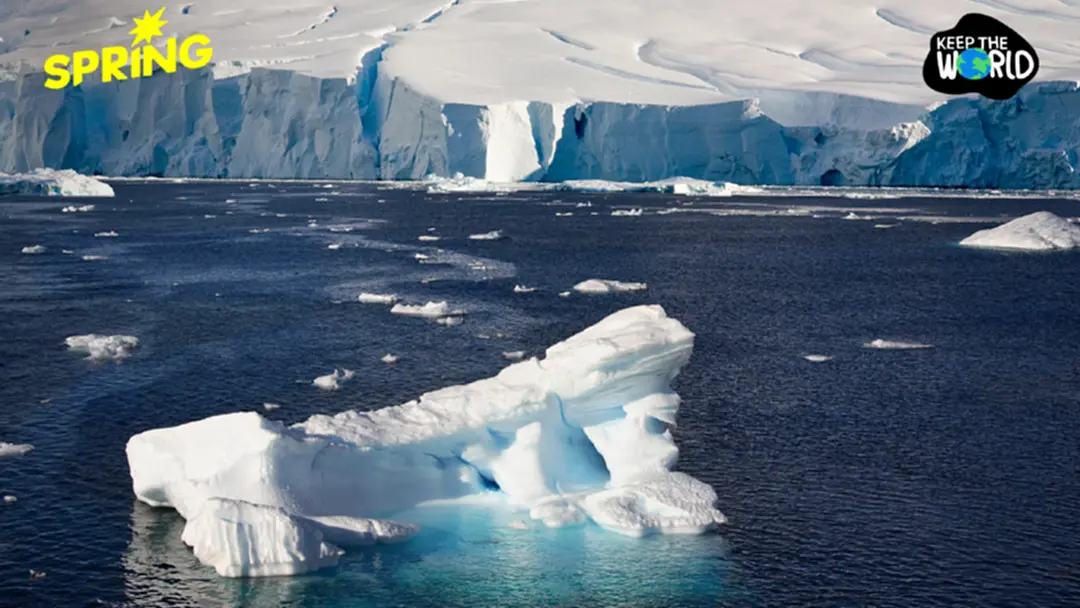 30 ปี แอนตาร์กติกาสูญเสียน้ำแข็ง เทียบเท่าเมืองใหญ่ 10 เมือง