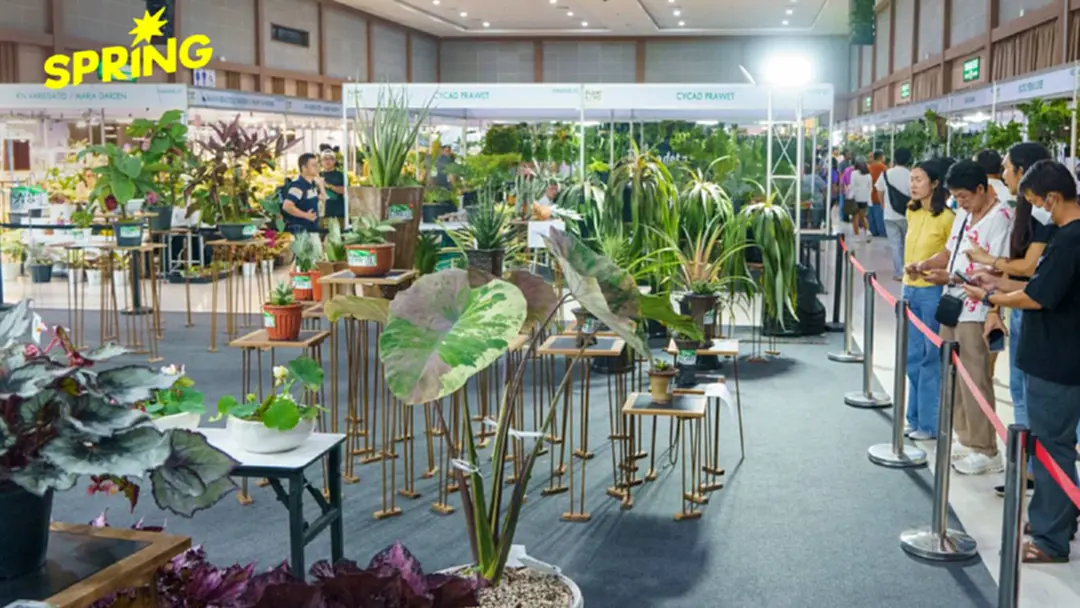 สวนนงนุช จัดมหกรรมพืชนานาชาติ คนรักต้นไม้ห้ามพลาด โอกาสสร้างมูลค่าระดับโลก