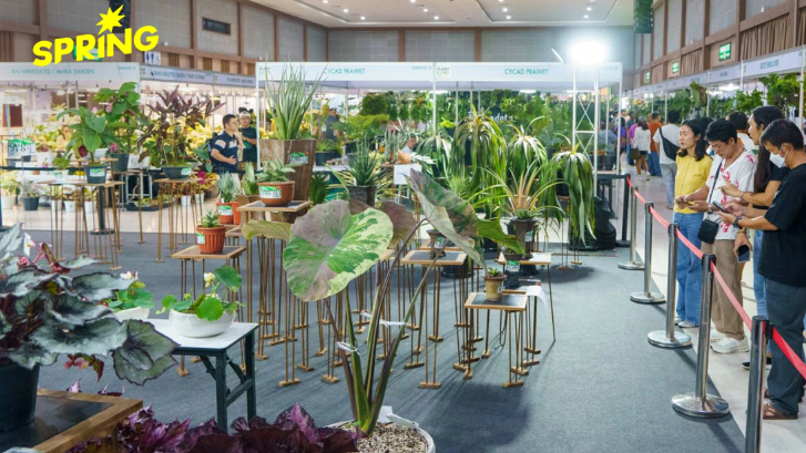 สวนนงนุช จัดมหกรรมพืชนานาชาติ คนรักต้นไม้ห้ามพลาด โอกาสสร้างมูลค่าระดับโลก