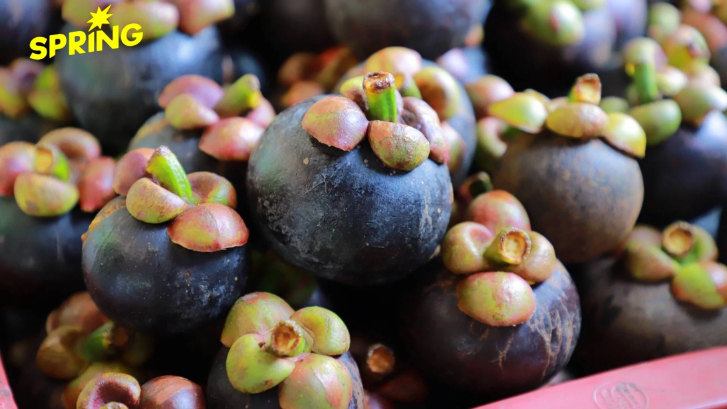 เกษตรชวนคนไทยอุดหนุน 'ผลไม้ตะวันออก' คุณภาพดี เชื่อถือได้