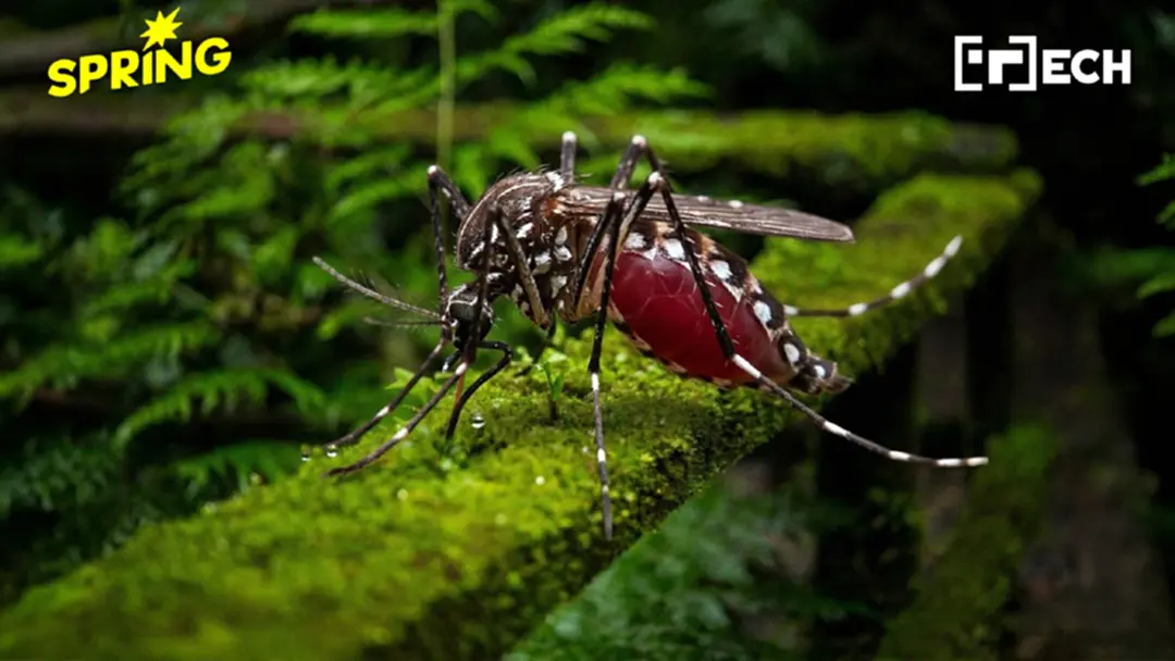 'ยุง' สายลับจิ๋ว เป็น 'โดรน' แกะรอยสัตว์เสี่ยงสูญพันธุ์ ได้แม่นกว่า 2 เท่า