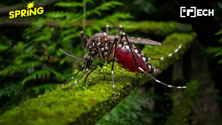 'ยุง' สายลับจิ๋ว เป็น 'โดรน' แกะรอยสัตว์เสี่ยงสูญพันธุ์ ได้แม่นกว่า 2 เท่า