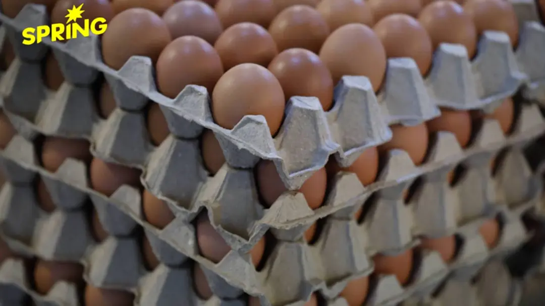 กรมการค้าภายในตรึงราคาสินค้าควบคุม จับตาต้นทุนน้ำมันใกล้ชิด