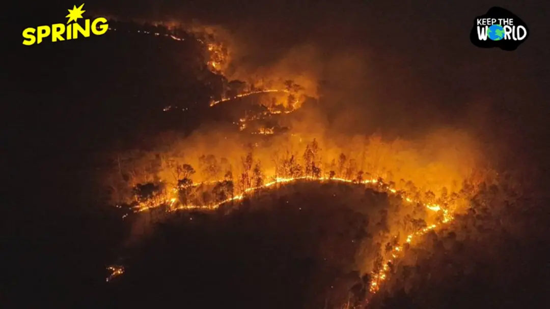 PM2.5 ภาคเหนือวิกฤต ควรประกาศเขตภัยพิบัติ ดึงอนุทินมาแก้ฝุ่นได้แล้ว