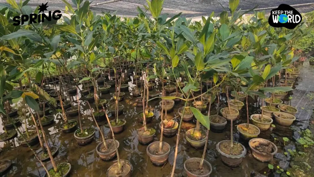 ส่องภาคธุรกิจไทย ลุยช่วย ‘ โลกป่วยสาหัส’ รับ ‘22 เม.ย.วันคุ้มครองโลก’