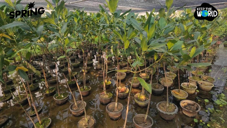 ส่องภาคธุรกิจไทย ลุยช่วย ‘ โลกป่วยสาหัส’ รับ ‘22 เม.ย.วันคุ้มครองโลก’