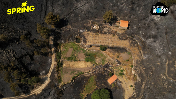 โลกร้อนเร่งไฟป่าสหรัฐฯ รุนแรงขึ้น ผลาญพื้นที่กว่า 4 ล้านไร่