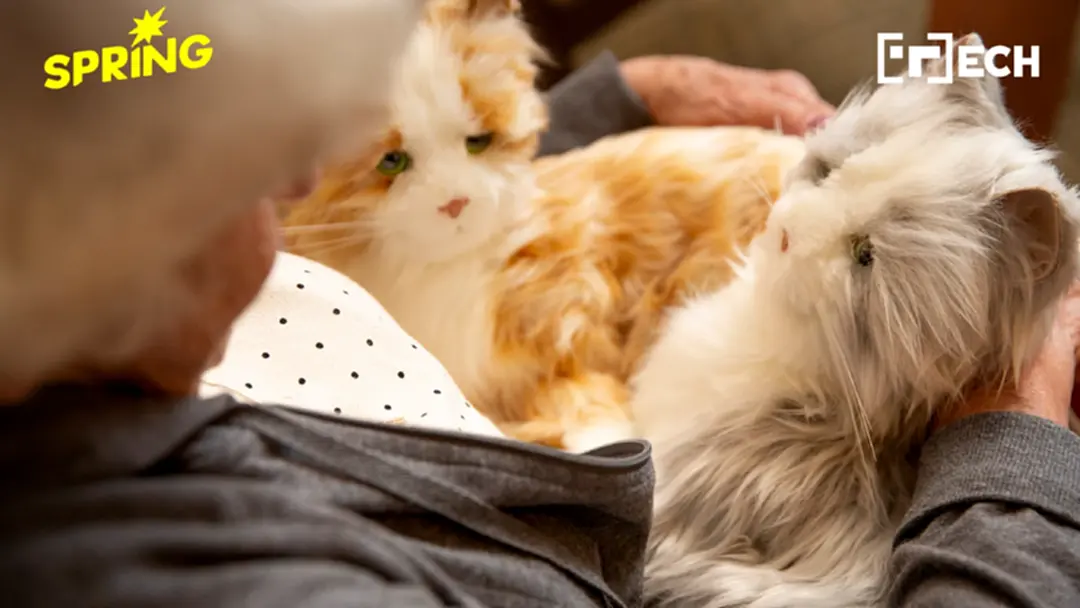 ‘หุ่นยนต์สัตว์เลี้ยง’ เทรนด์มาแรง งานวิจัยชี้บำบัดผู้สูงวัย-เด็กได้จริง