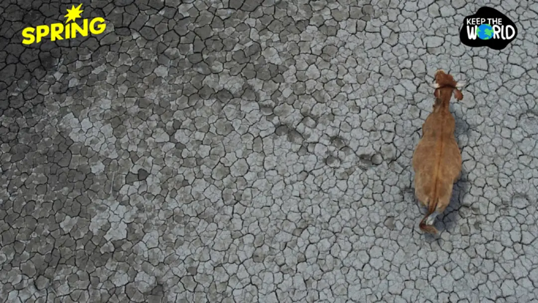 งานวิจัยใหม่ชี้ ภัยแล้งรุนแรง อาจทำให้คนเกิดภาวะดื้อยามากขึ้น