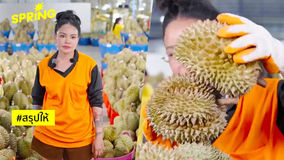 ดราม่า "ทุเรียนลูกละ 100" พิมรี่พายขาดทุนยับ ชาวเน็ตวิจารณ์ไม่ตรงปก