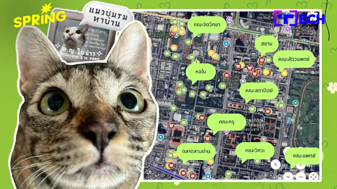 'JohnJud Map' โมเดลจัดการ 'แมว-สุนัขจรจัด' ฉบับชาวจุฬาฯ เช็กได้ตัวไหนเฟรนลี่