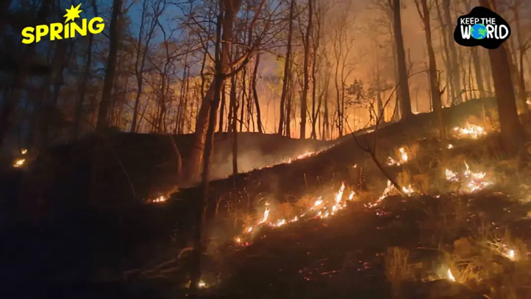 ฝุ่นยังคลุมเหนือ ไฟป่ายังปะทุ ทำความรู้จัก 'เผาควบคุม' เครื่องมือที่รัฐใช้สกัดไฟใหญ่ ฝุ่นยังคลุมเหนือ ไฟป่ายังปะทุ ทำความรู้จัก 'เผาควบคุม' เครื่องมือที่รัฐใช้สกัดไฟใหญ่