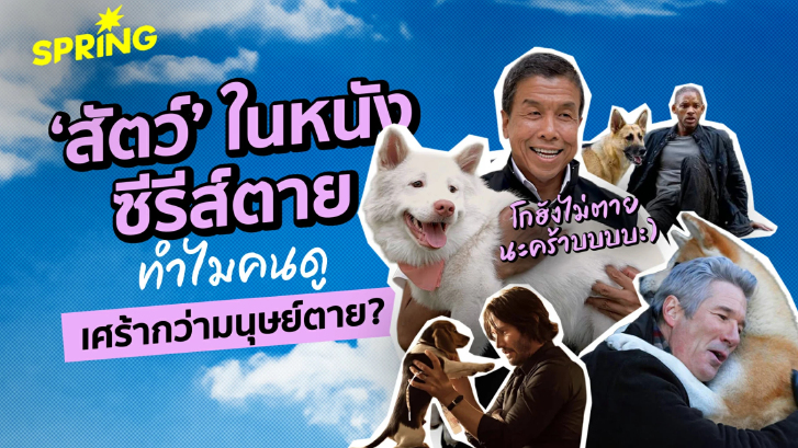 ไขปริศนาจิตวิทยา : ทำไมสัตว์ตายในหนัง-ซีรีส์ ถึงทำให้เราเศร้ากว่าคนตายซะอีก