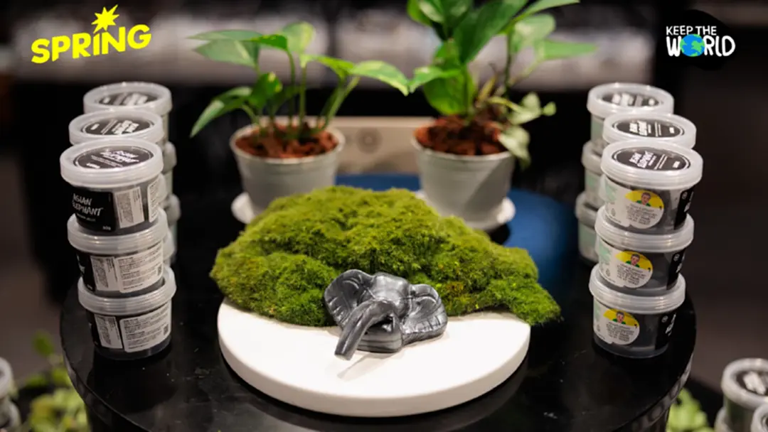 คืนสัญชาตญาณช้างป่า รักแบบที่เขาเป็น? กับ LUSH และ องค์กรพิทักษ์สัตว์โลก