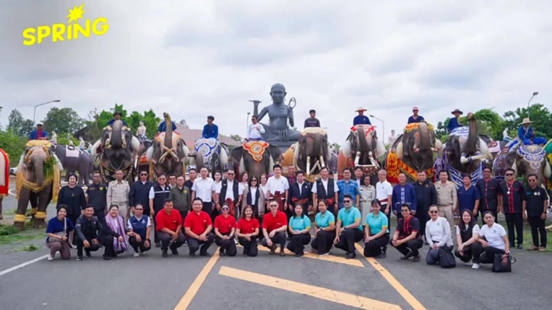 สุรินทร์จัดใหญ่! รวมช้าง 93 เชือก ในงาน “วิถีคน วิถีช้าง”