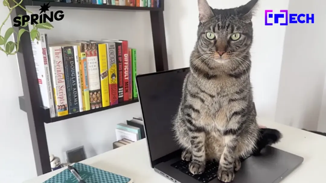 Cats Lock แอปฯ ล็อกคีย์บอร์ด Mac สยบปัญหาแมวเหยียบคีย์บอร์ด Cats Lock แอปฯ ล็อกคีย์บอร์ด Mac สยบปัญหาแมวเหยียบคีย์บอร์ด