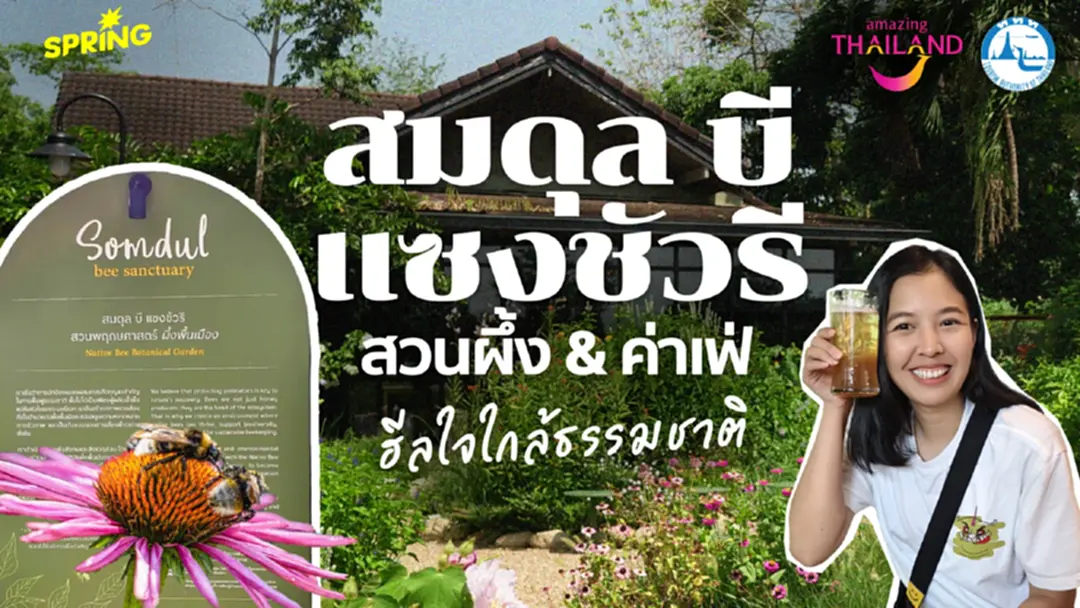 ชวนเที่ยว 'สมดุล บี แซงชัวรี่' คาเฟ่และสวนผึ้ง ฮีลใจใกล้ธรรมชาติ ชวนเที่ยว 'สมดุล บี แซงชัวรี่' คาเฟ่และสวนผึ้ง ฮีลใจใกล้ธรรมชาติ
