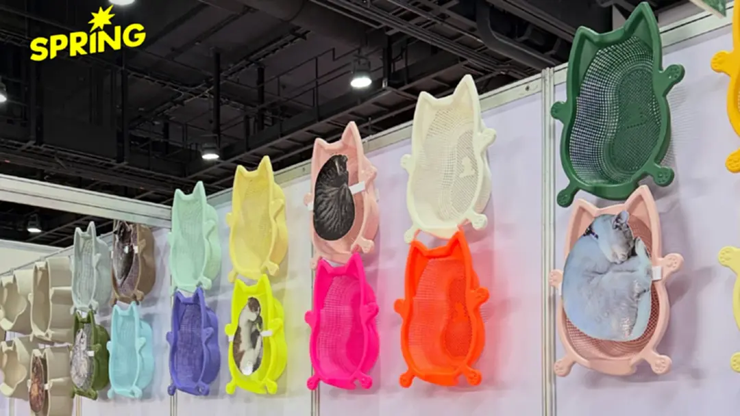 รู้จัก 'Catbang' ตะกร้าแมวสุดฮิตจากเกาหลี ยอดขายถล่ม Pet Expo 2026