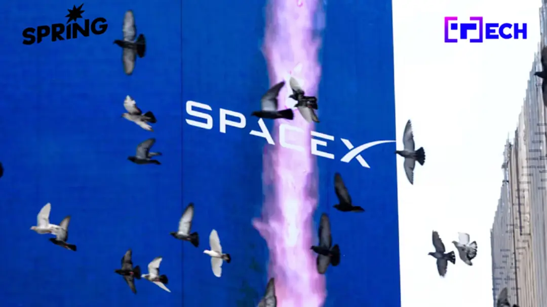 หุ้น SpaceX ปิดตลาดบวก หลังขาลงหนัก 3 วันติด พยุงมูลค่า 2 ล้านล้าน หุ้น SpaceX ปิดตลาดบวก หลังขาลงหนัก 3 วันติด พยุงมูลค่า 2 ล้านล้าน
