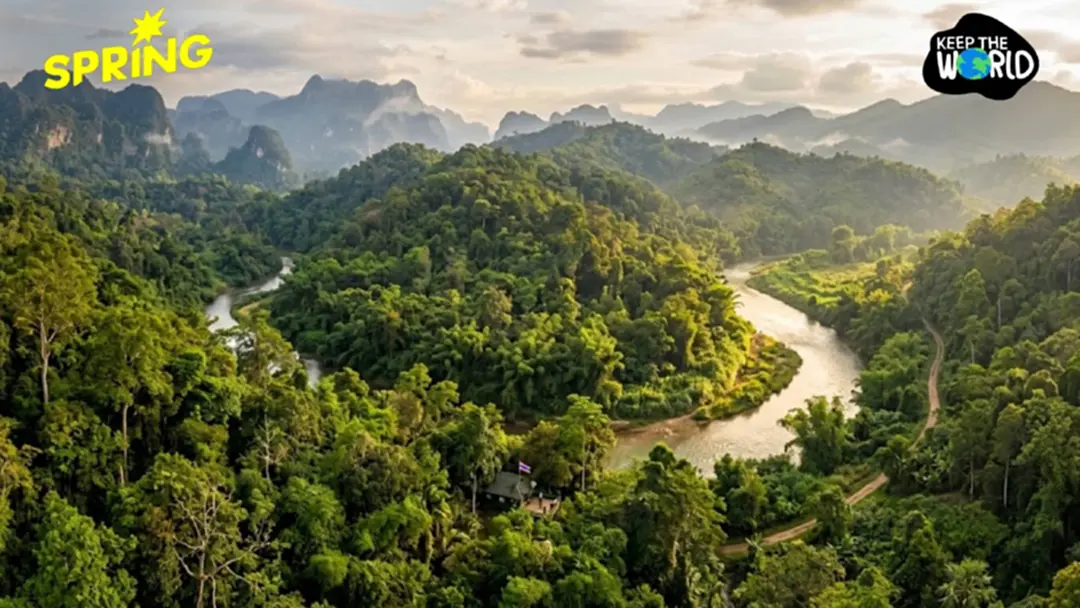 ‘เพชรบูรณ์’ แชมป์ป่าเพิ่ม 12,879 ไร่  สวนทางเชียงใหม่ป่าลดฮวบ 3.4 หมื่นไร่