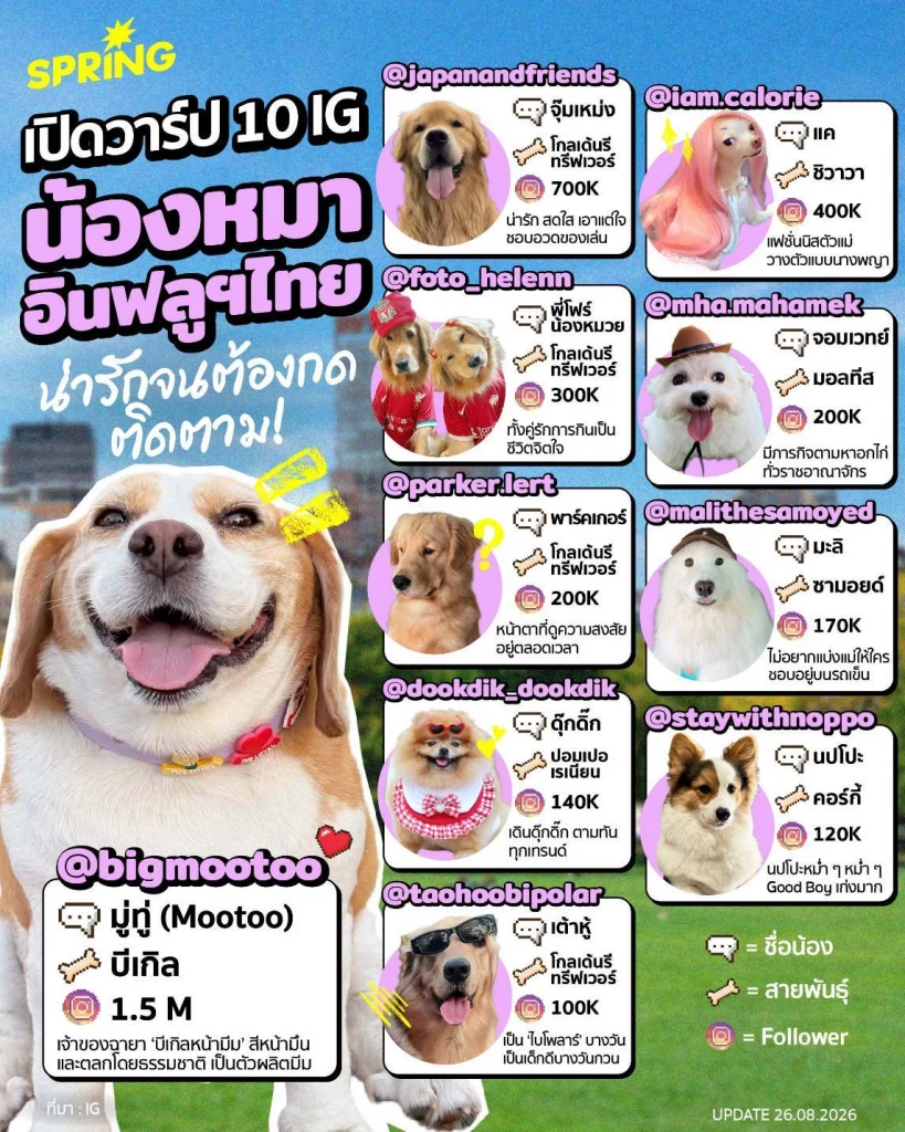 วันสุนัขสากล เปิดประโยชน์เพื่อนสี่ขา พร้อม 10 สุนัขอินฟลูฯ ไทย วันสุนัขสากล เปิดประโยชน์เพื่อนสี่ขา พร้อม 10 สุนัขอินฟลูฯ ไทย