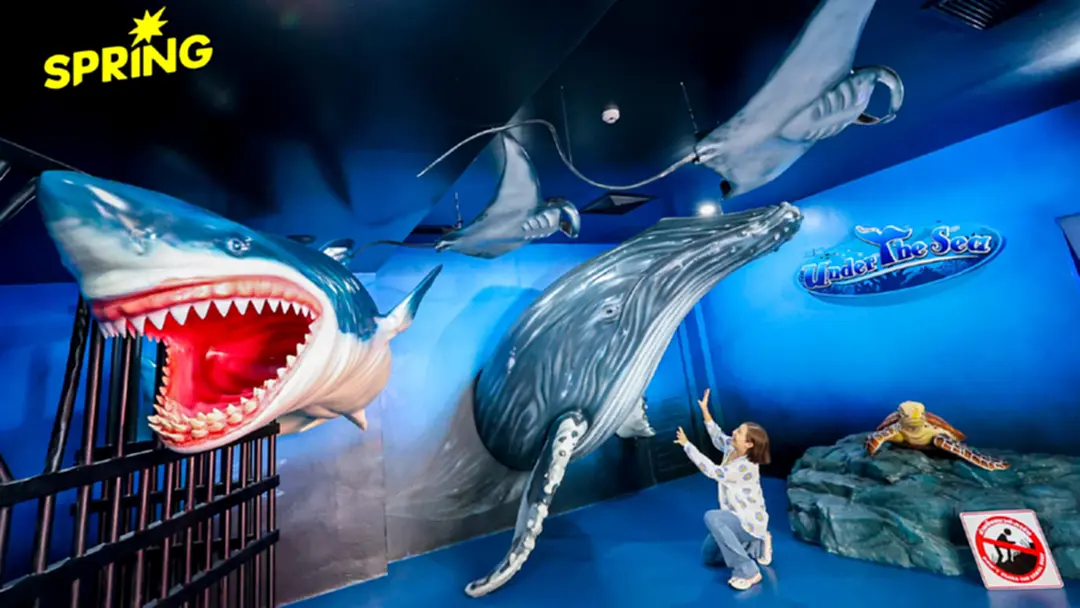ดรีมเวิลด์ เปิด ‘Under The Sea’ จำลองโลกใต้ทะเล รวมสัตว์กว่า 100 สายพันธุ์