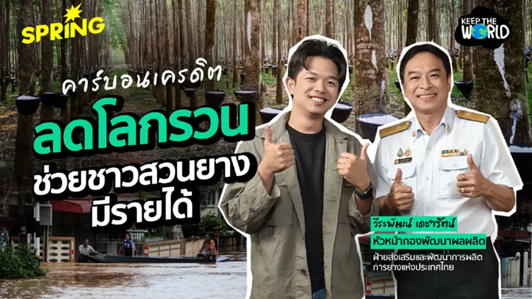 'คาร์บอนเครดิต' ทางรอดสวนยางไทย ยุคโลกรวน ชาวสวนยางต้องปรับตัว-เรียนรู้ 'คาร์บอนเครดิต' ทางรอดสวนยางไทย ยุคโลกรวน ชาวสวนยางต้องปรับตัว-เรียนรู้