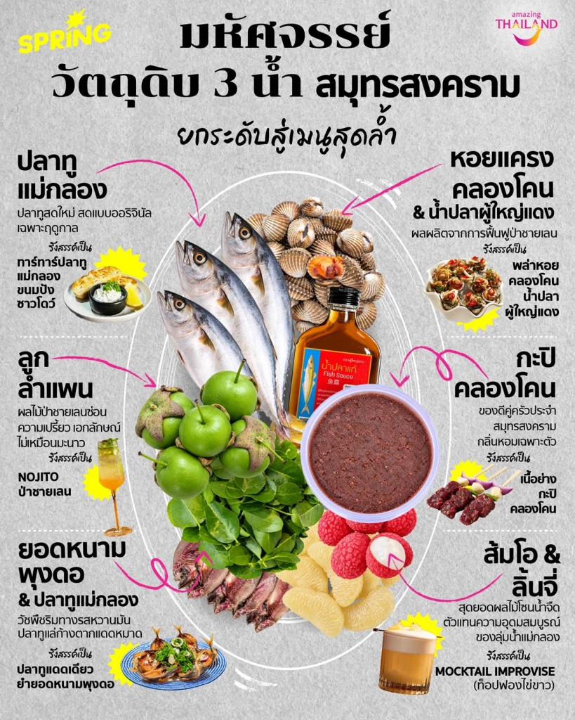 เสน่ห์แห่งระบบนิเวศ 3 น้ำ วัตถุดิบลุ่มน้ำแม่กลอง สู่เมนูสุดสร้างสรรค์ สมุทรสงคราม เสน่ห์แห่งระบบนิเวศ 3 น้ำ วัตถุดิบลุ่มน้ำแม่กลอง สู่เมนูสุดสร้างสรรค์ สมุทรสงคราม