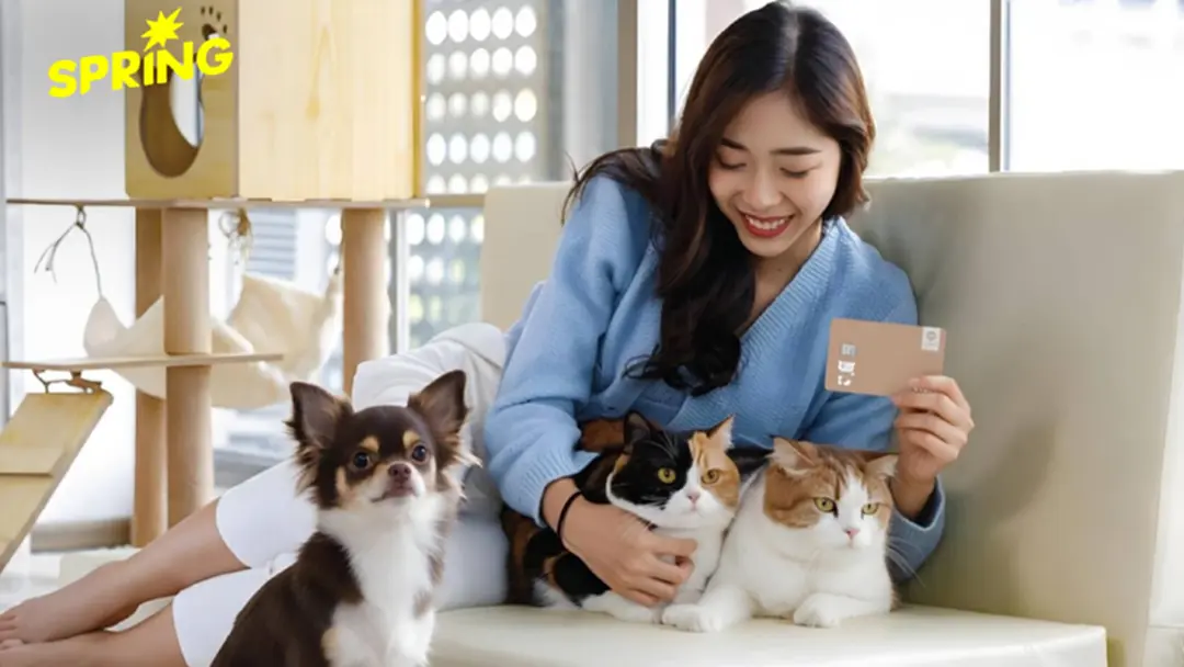 กรุงศรี ชี้ 'ตลาดสัตว์เลี้ยง' มาแรง ตั้งเป้าใช้จ่ายทะลุพันล้าน