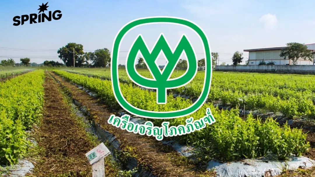 'เครือเจริญโภคภัณฑ์' แจงทุกประเด็น ปมการขอรับความคุ้มครองกะเพราพันธุ์ใหม่ 'เครือเจริญโภคภัณฑ์' แจงทุกประเด็น ปมการขอรับความคุ้มครองกะเพราพันธุ์ใหม่