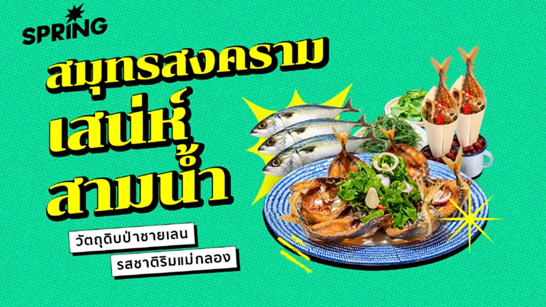 สมุทรสงคราม เสน่ห์แห่งสามน้ำ วัตถุดิบป่าชายเลน และรสชาติริมแม่กลอง
